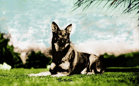 Rinty 1004_edited-Final_edited-2