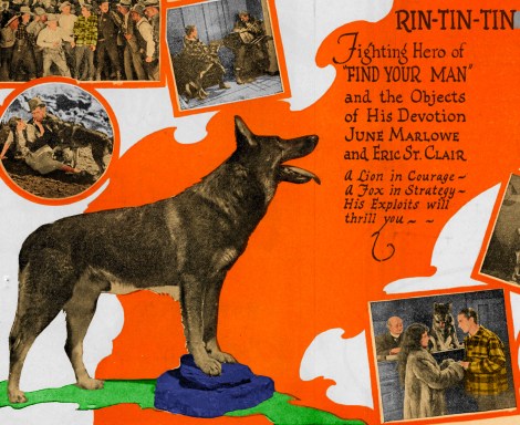 rinty find man2_Final_edited-1