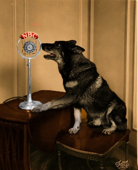 rinty-on-radio-1931-Aug 27_Final_edited-1