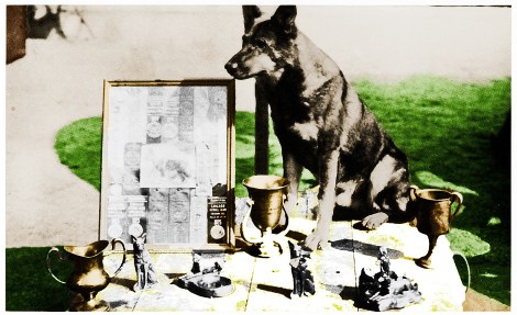 Rinty Photo_Final_Final_edited-1