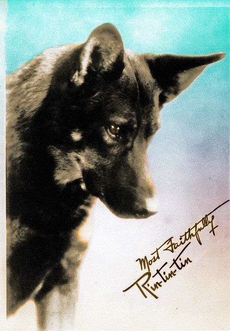 Rinty Signature_Aug 27 Final final Final_edited-2