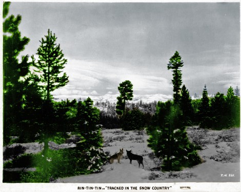 Rinty Snow Country_edited-Final_edited-1