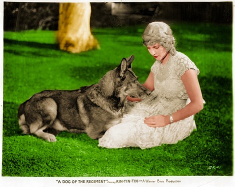 RinTinRegiment_edited-Final_edited-1