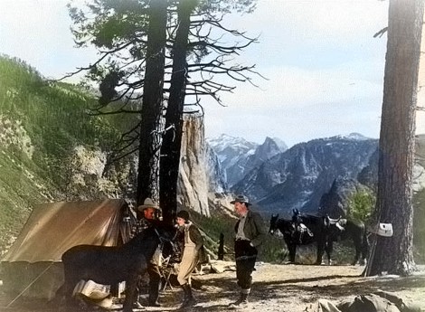 Free Soul Color Final