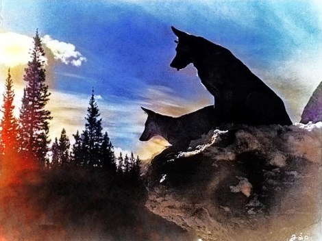 Strongheart and Lady Jule 1924 Final final